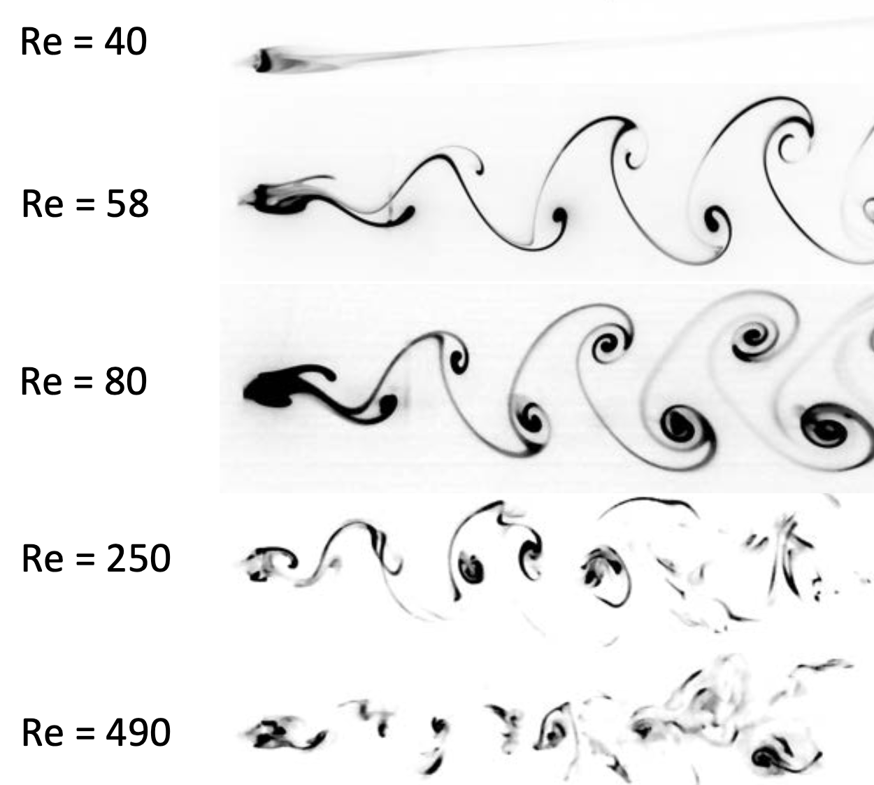 Dye visualization of vortex shedding